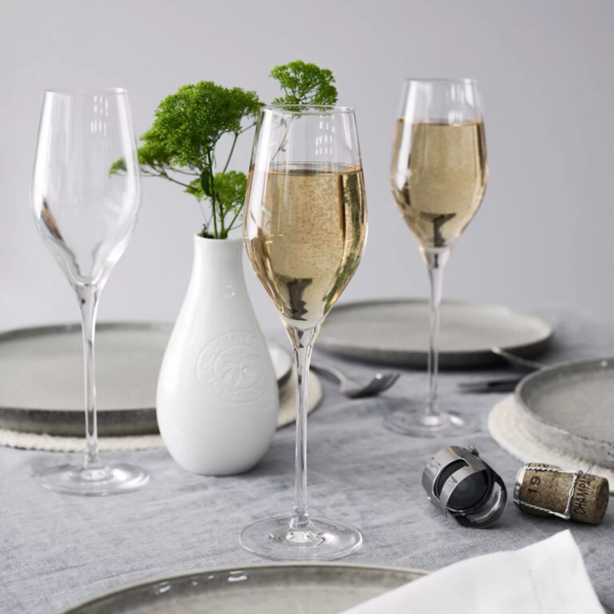 Pro Cook Champagne Glasses