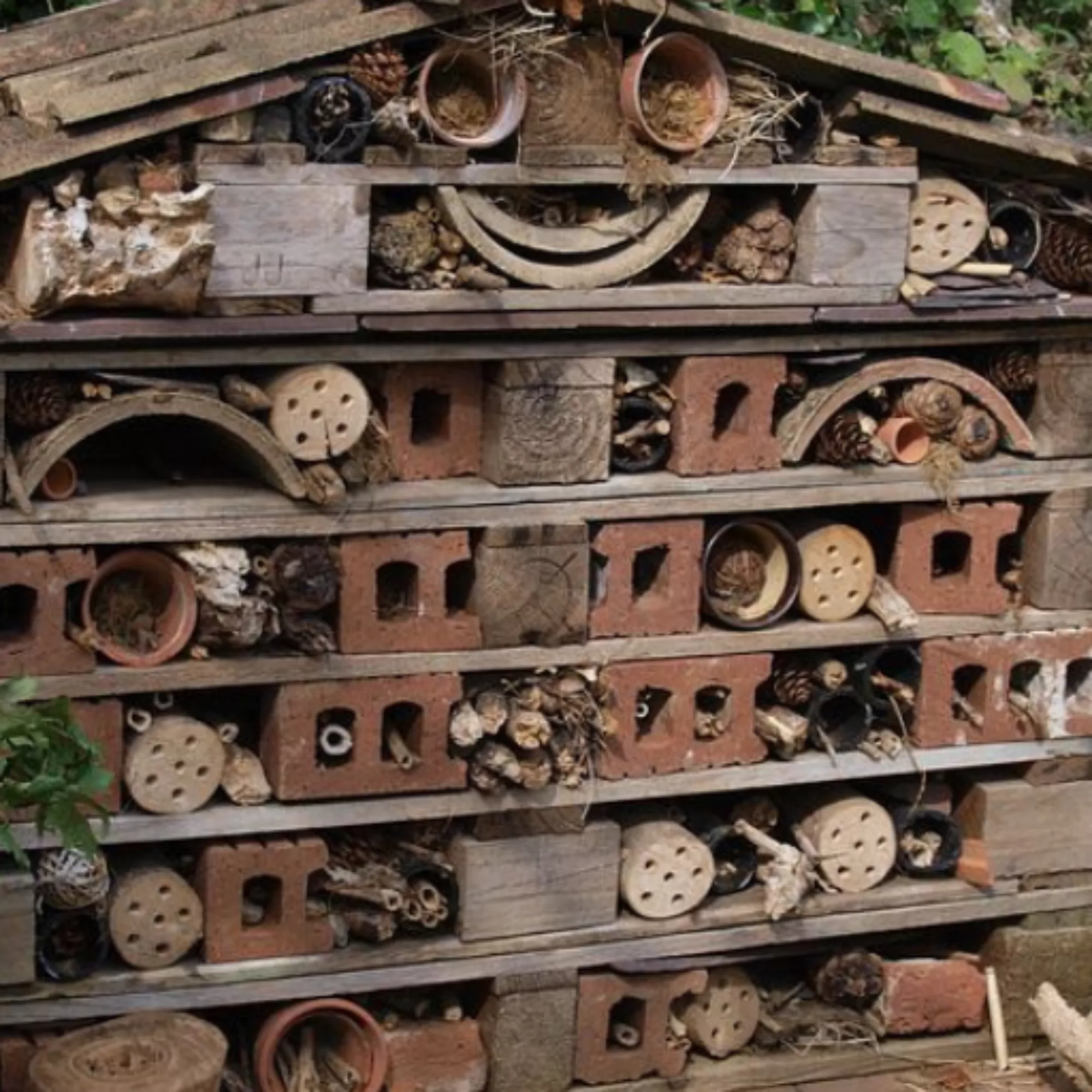 Bug hotel