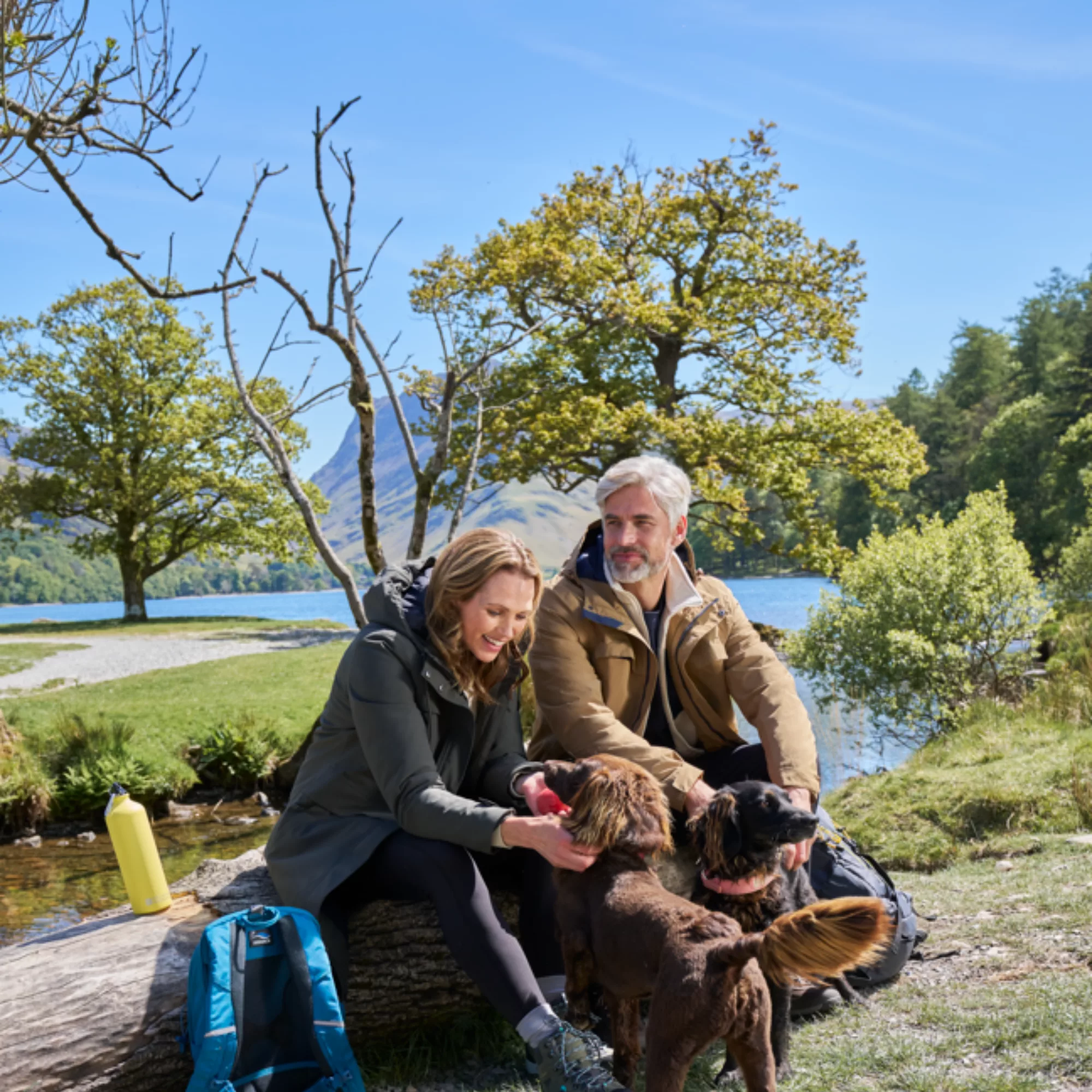 Dog walkers