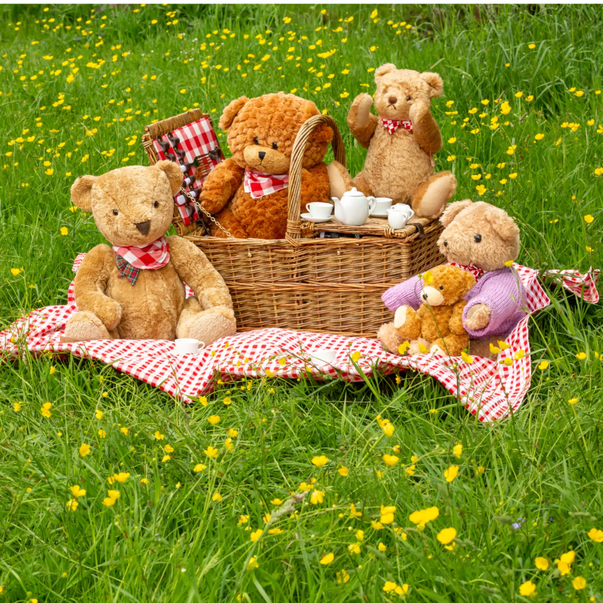 Teddy Bear Picnic