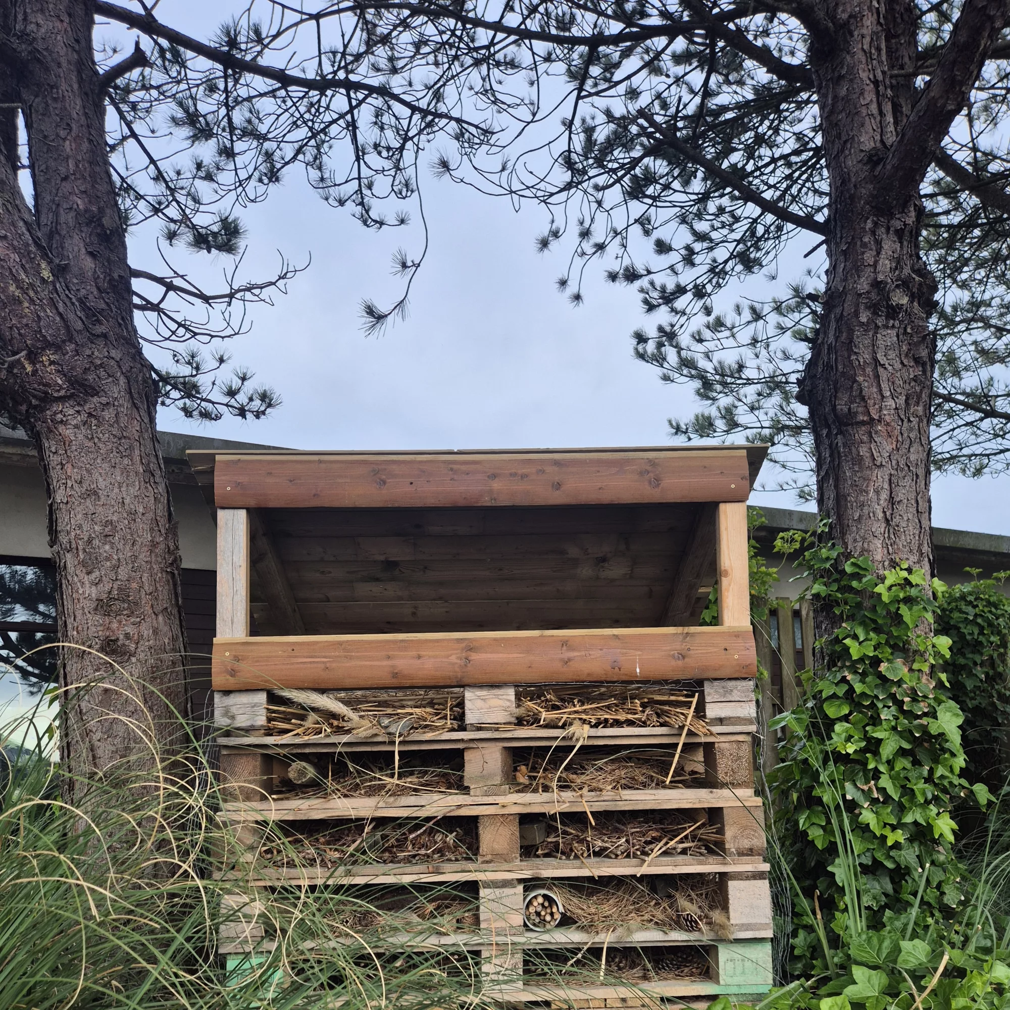 Bug Hotel 1